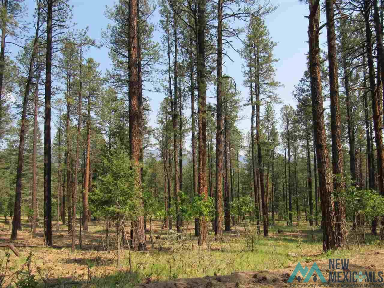 Rociada, NM 87742,47, 48, 49 Camino Facil Road #Pendaries Village