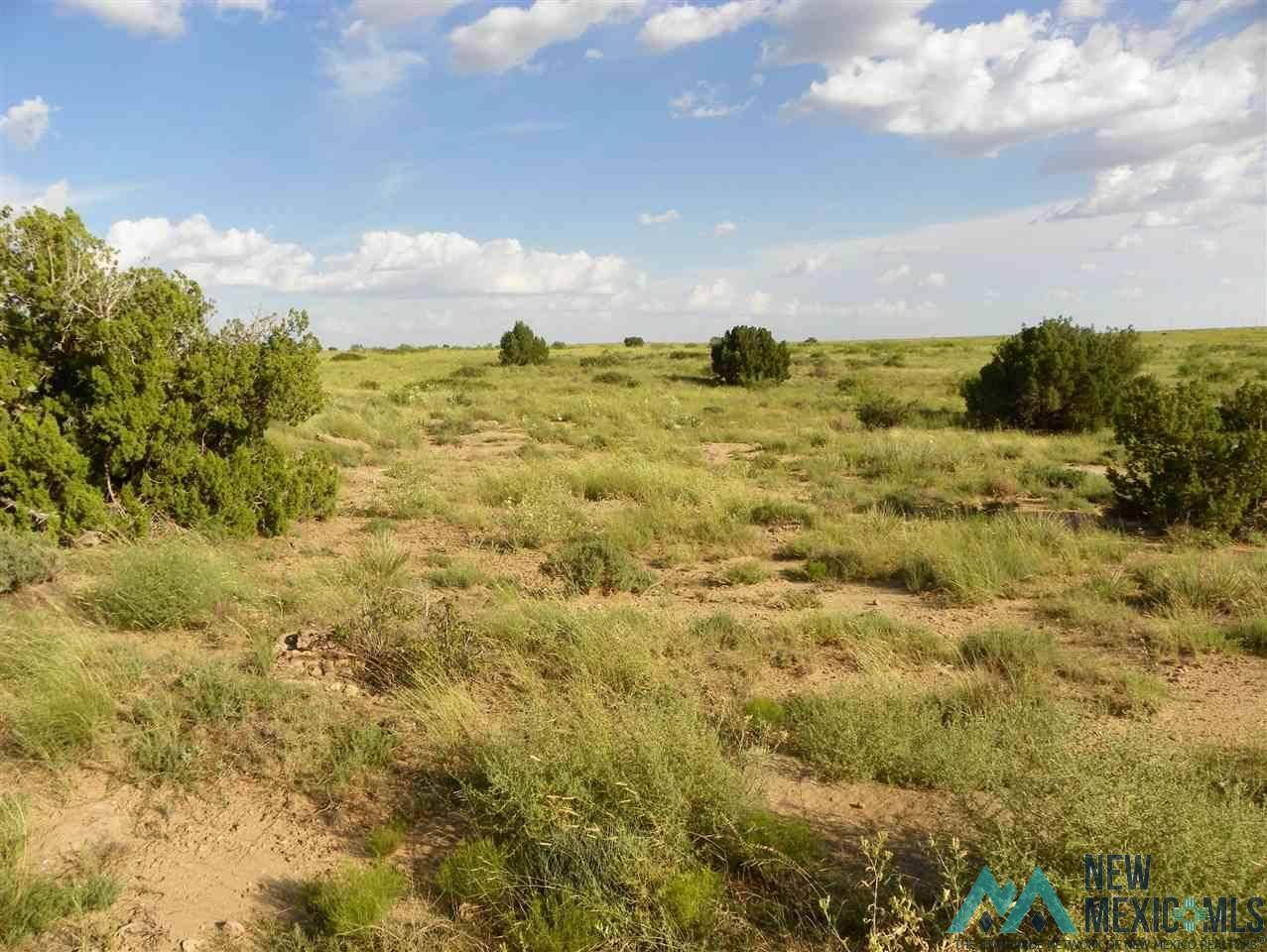Tucumcari, NM 88401,1A Lot Quay Road AI