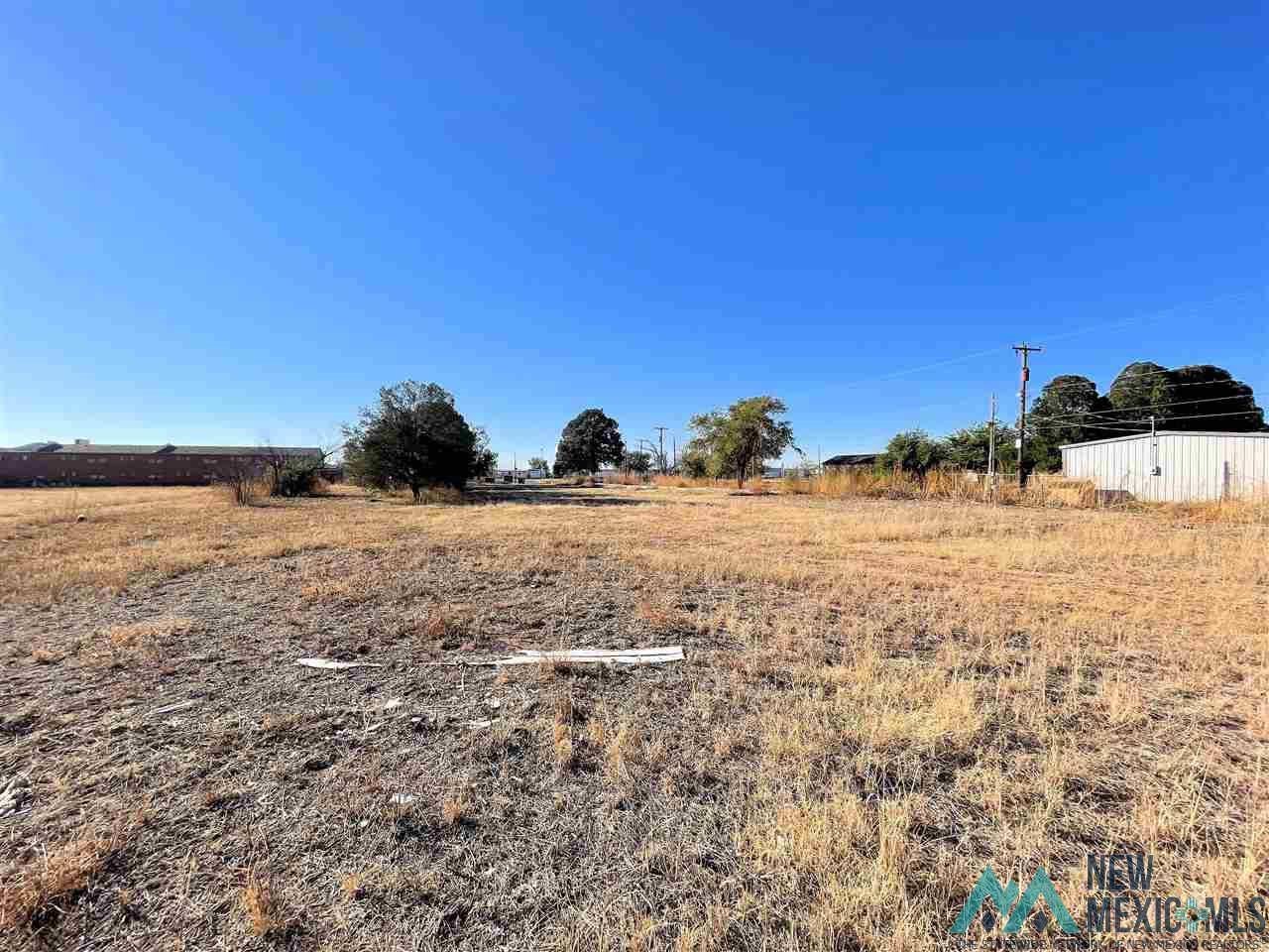 Clovis, NM 88101,1702 Mabry Drive Drive