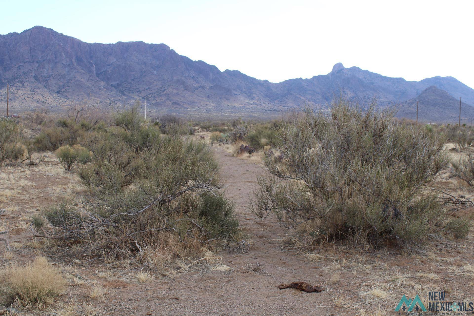 Deming, NM 88030,Gardenia Rd SE