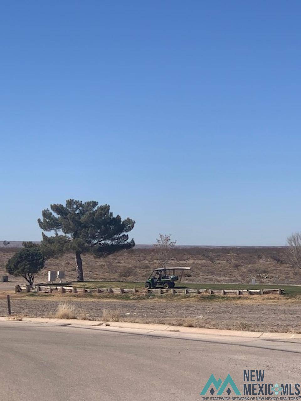 Carlsbad, NM 88220,502 Oakwood Place Place