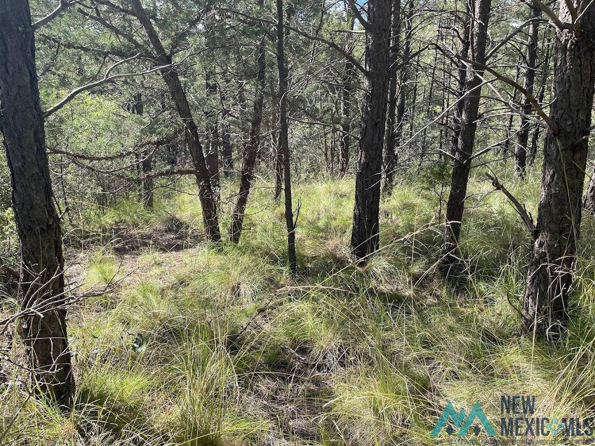 Timberon, NM 88350,52 Oakmont Drive #58 Oakmont Drive