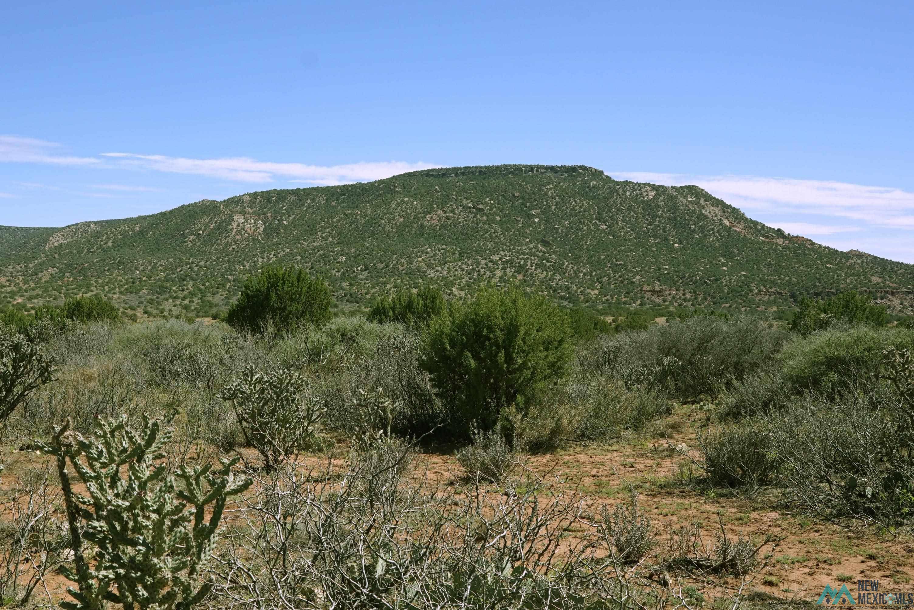 Newkirk, NM 88431,86 Bull Canyon
