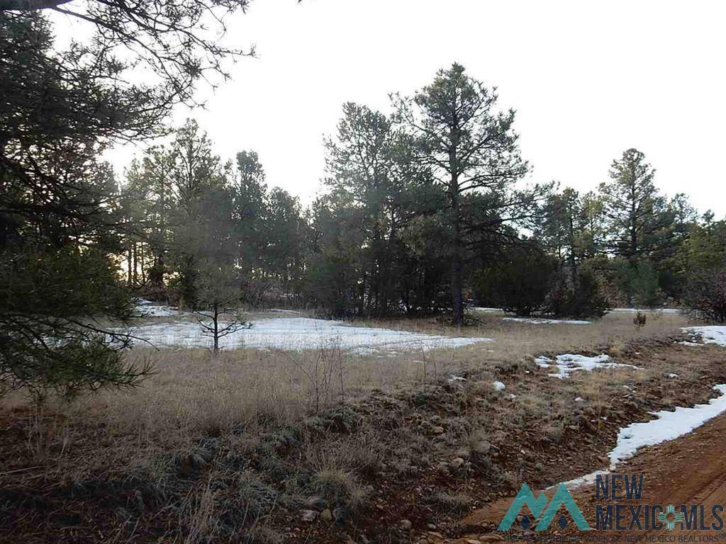 Buena Vista, NM 87712,TBD County Rd 13