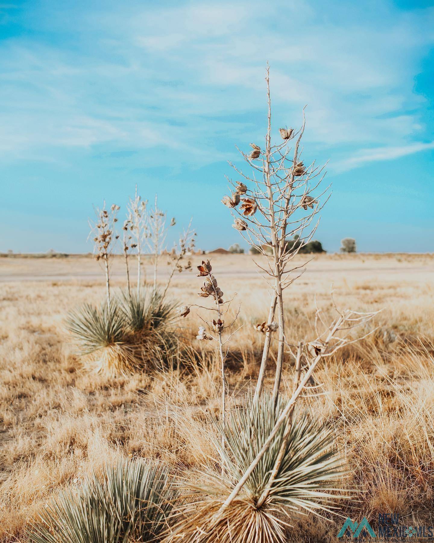 Artesia, NM 88210,Lot 25 Desert Willow Estates