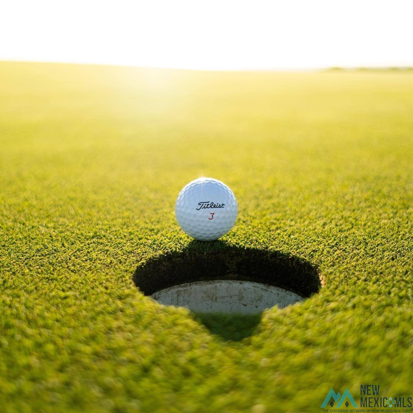 Artesia, NM 88210,Lot 39 Desert Willow Estates