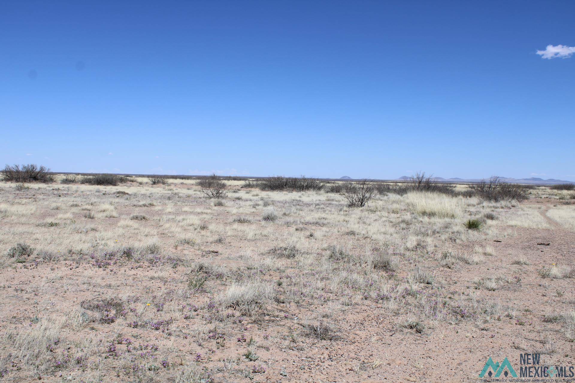 Deming, NM 88030,Sunshine Valley Ranchettes #Sunshine Valley Ranchettes Unit 18 Bk 17 TR 27-28
