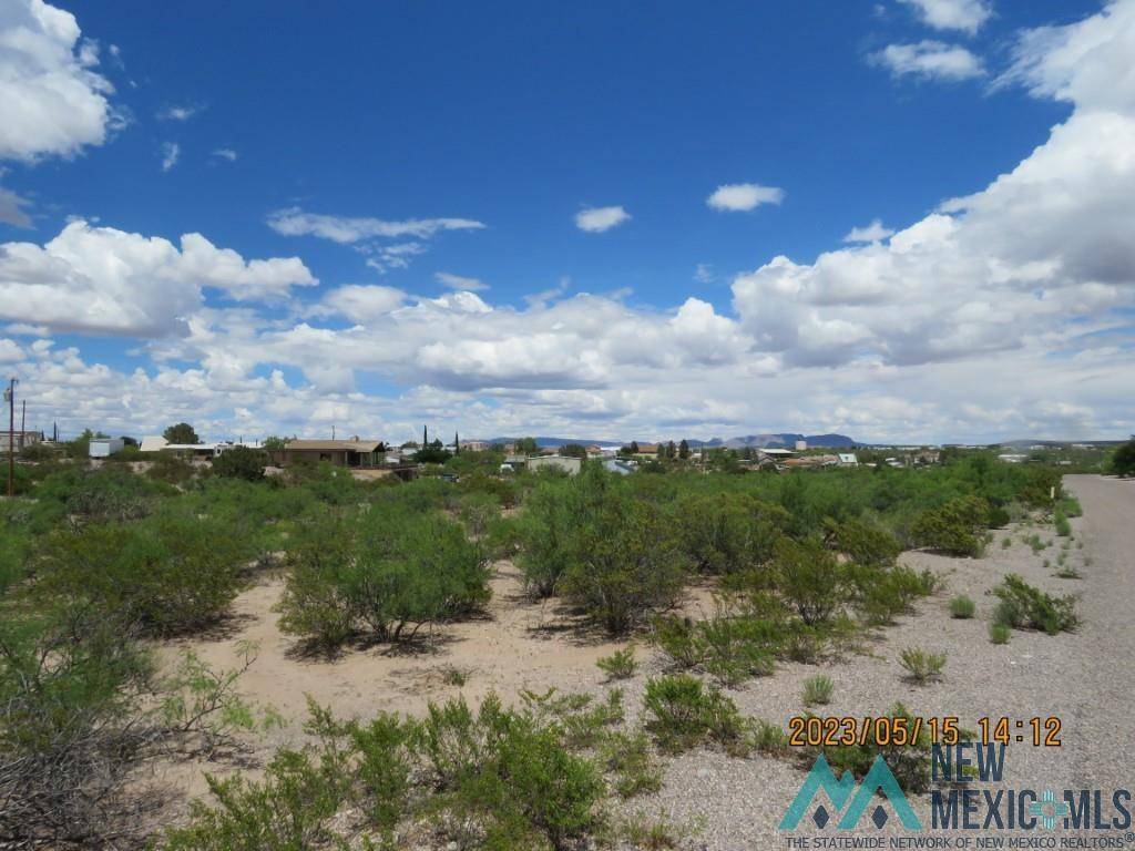 Elephant Butte, NM 87935,216 Superior Drive