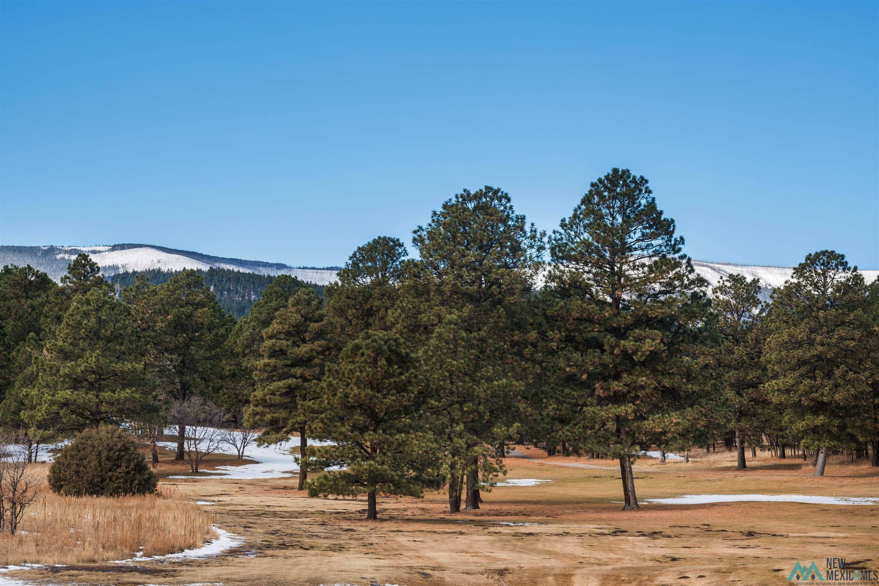 Rociada, NM 87742,Lot 69 Avenida Lustrosos Avenue