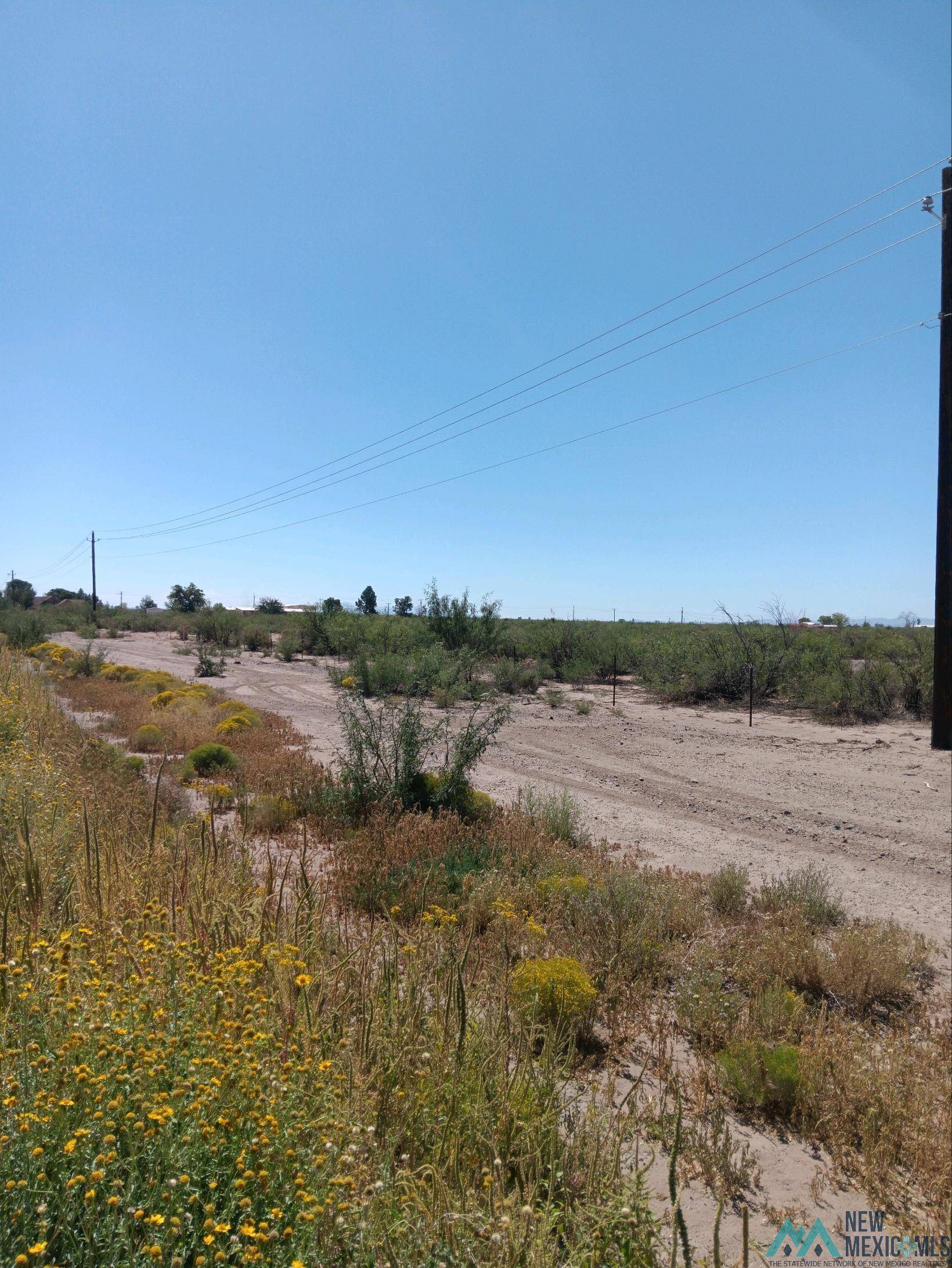 Deming, NM 88030,0000 S Columbus RD Roads