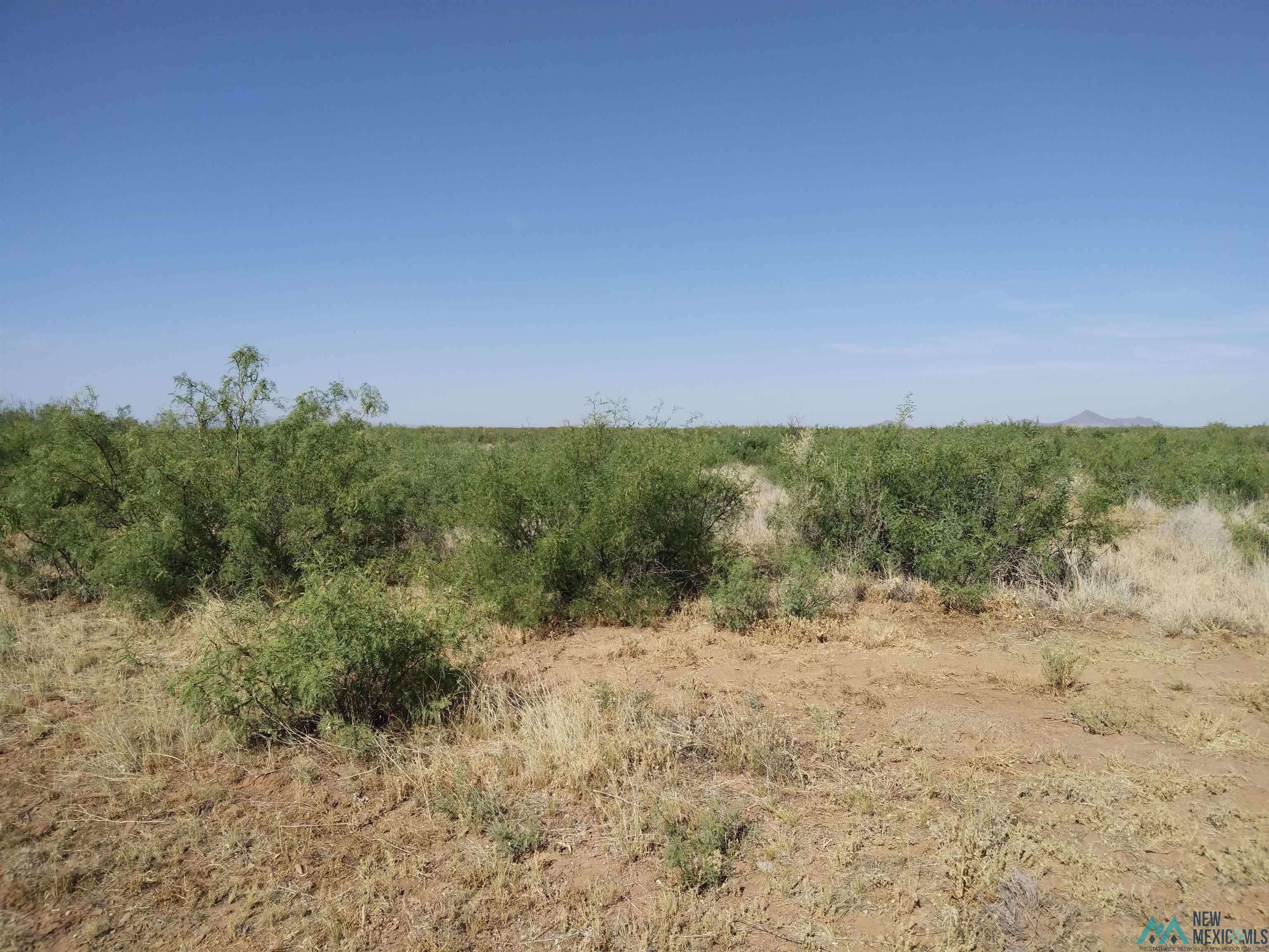 Deming, NM 88030,000 SW Pelayo Road