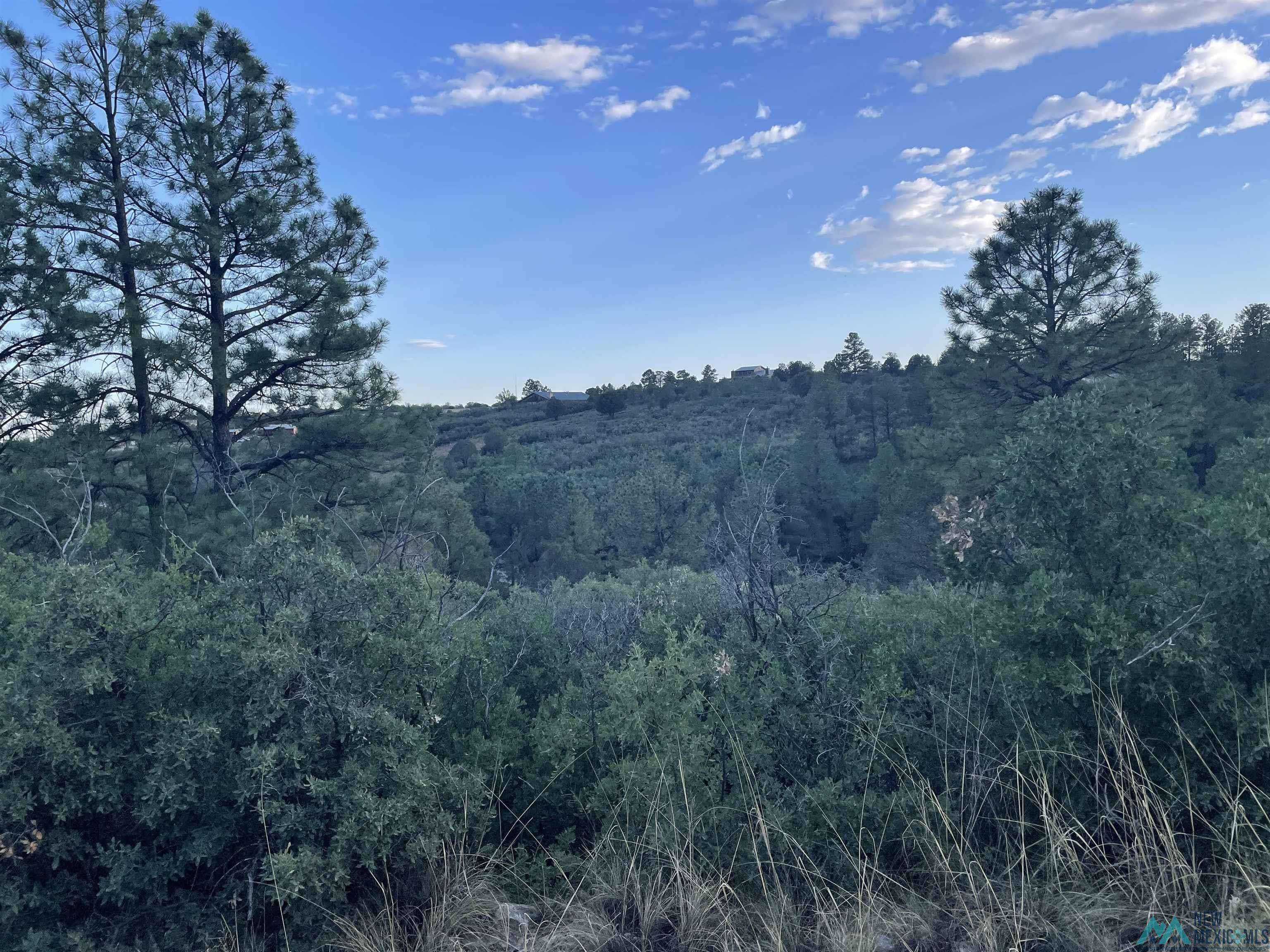Timberon, NM 88350,Lot 2 Movac Loop