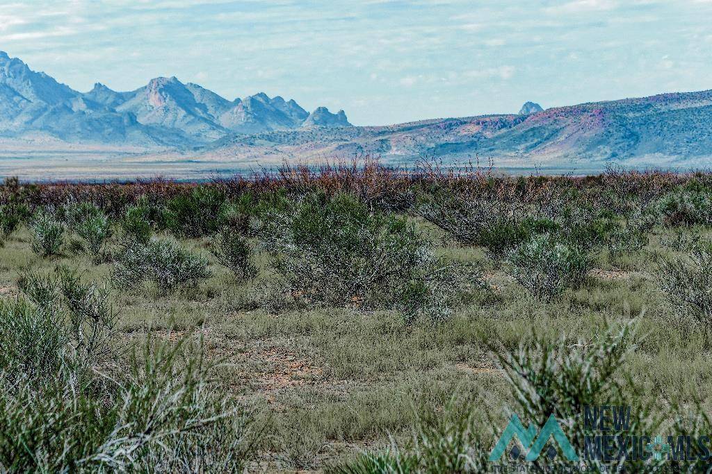 Deming, NM 88030,0 Siesta Estate