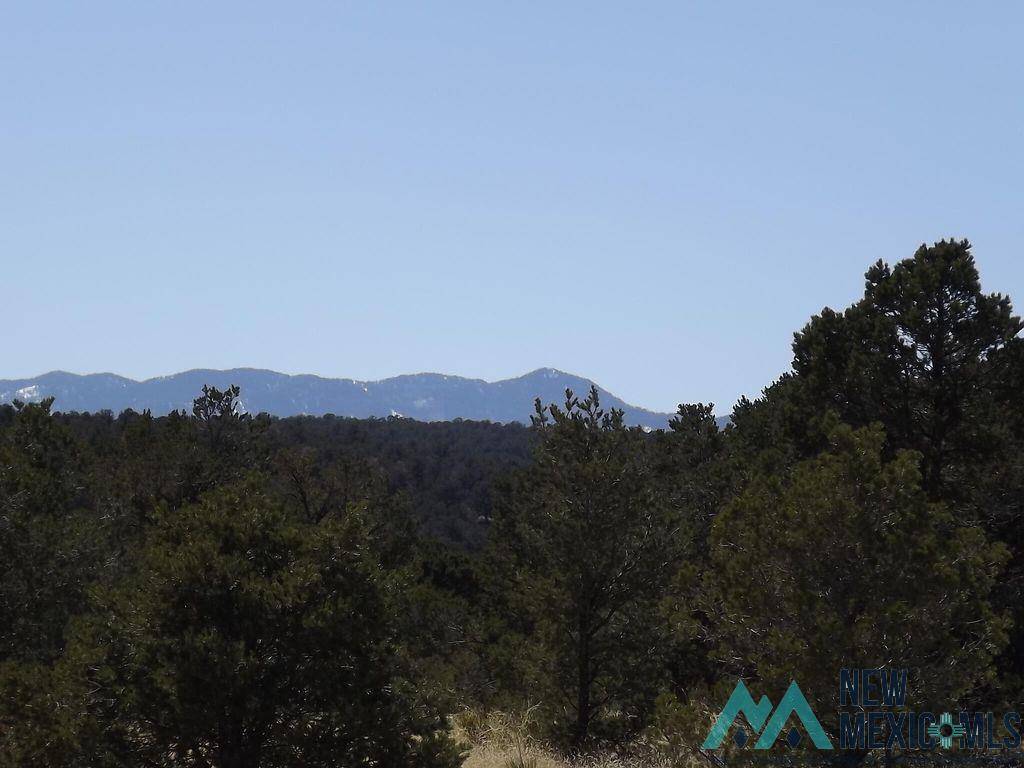 Estancia, NM 87016,918 La Miga Canyon Road