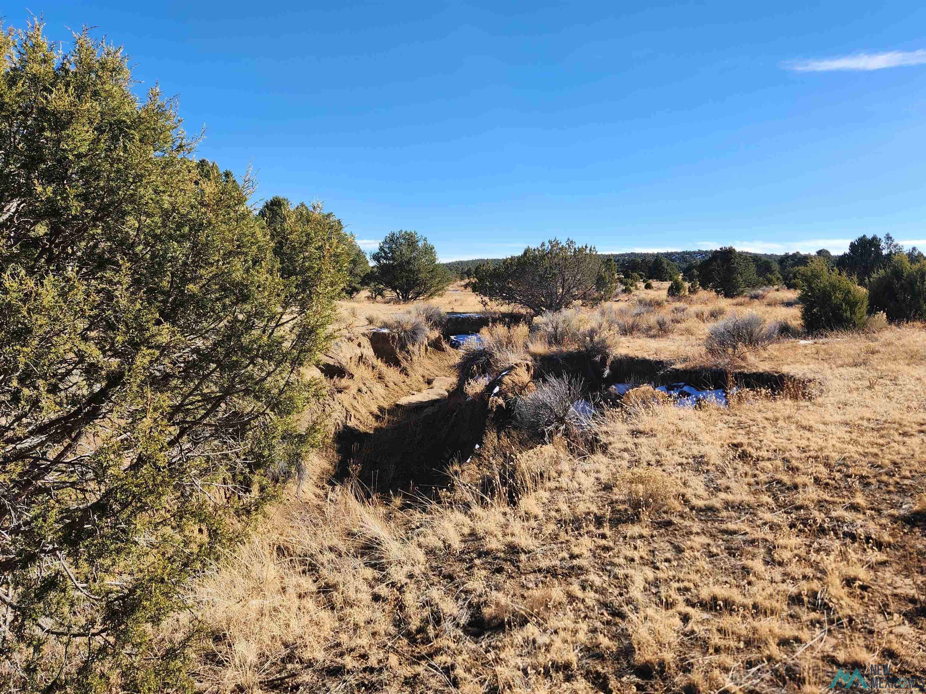 Pie Town, NM 87827,Ponderosa Ranches Trail Road #Ponderosa Ranches Subdivision