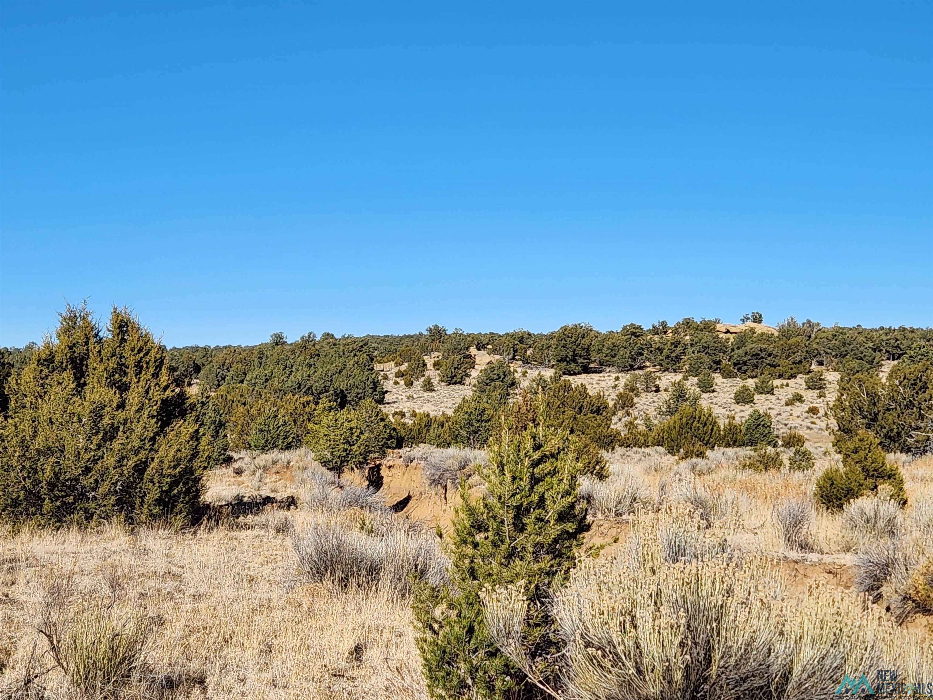 Pie Town, NM 87827,Ponderosa Ranches Trail Road #Ponderosa Ranches Subdivision