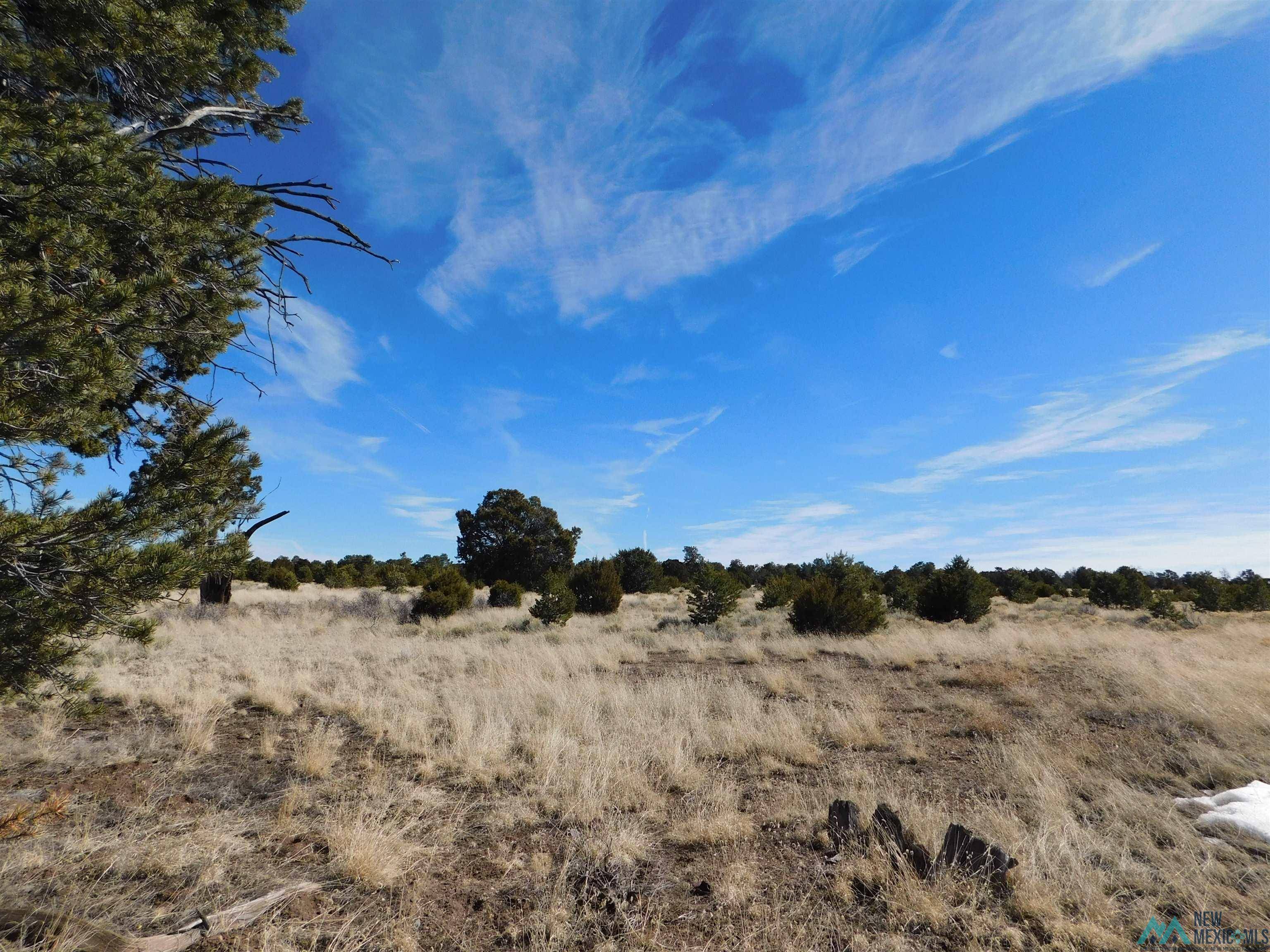 Quemado, NM 87829,LOT 38A AGUA FRIA LOOP #LOT 38A SPRING CANYON RANCH