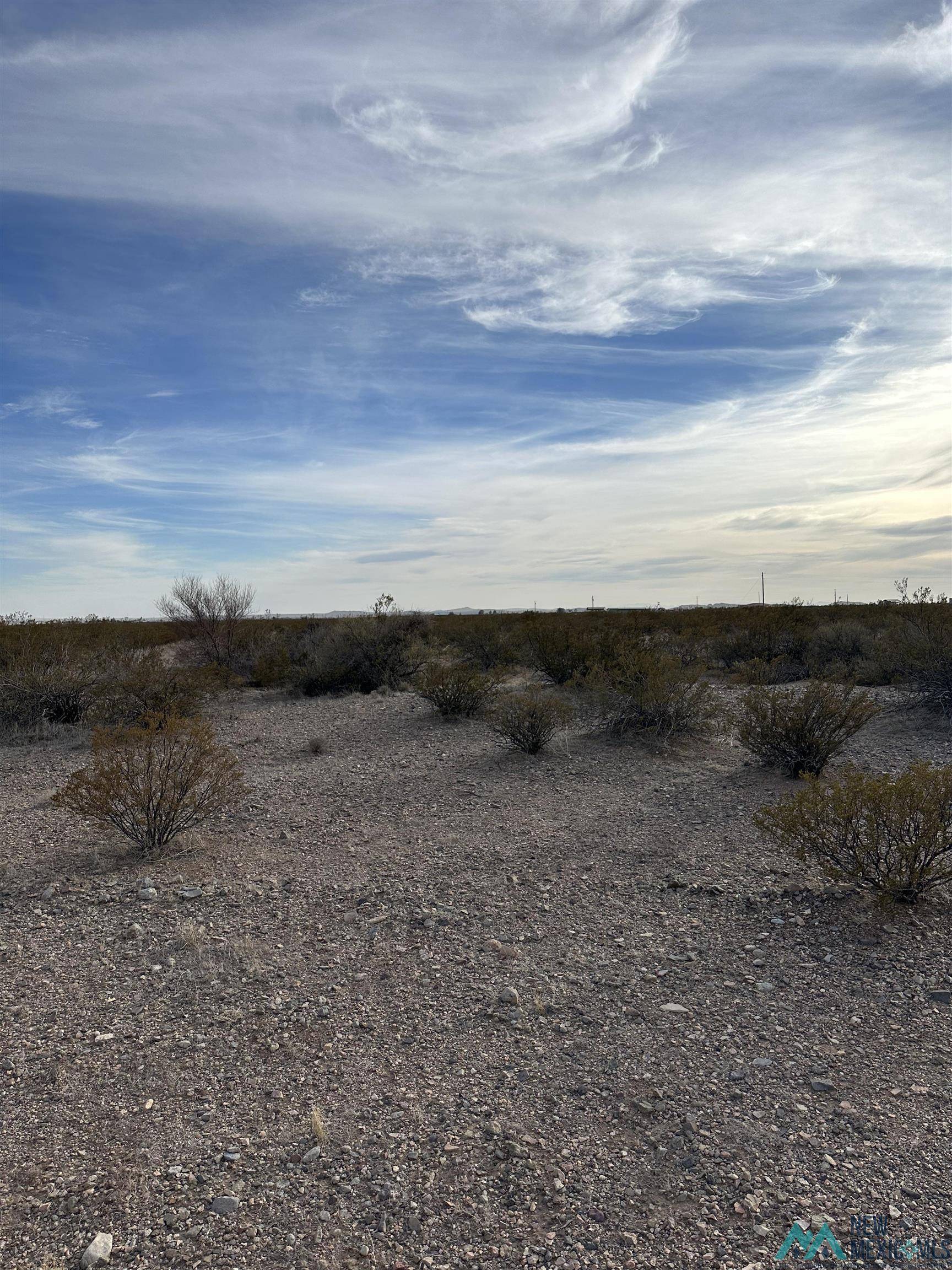 Columbus, NM 88029,XXXX Roadrunner Lane Lot 8