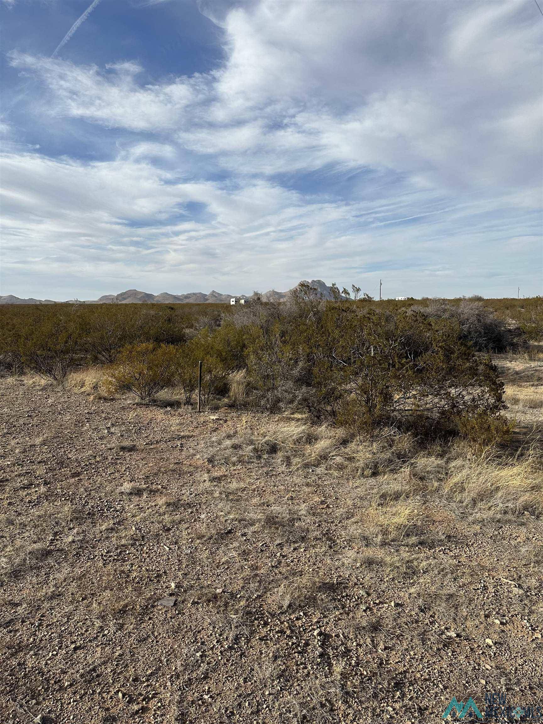 Columbus, NM 88029,XXXX Coyote Lane Lot 19