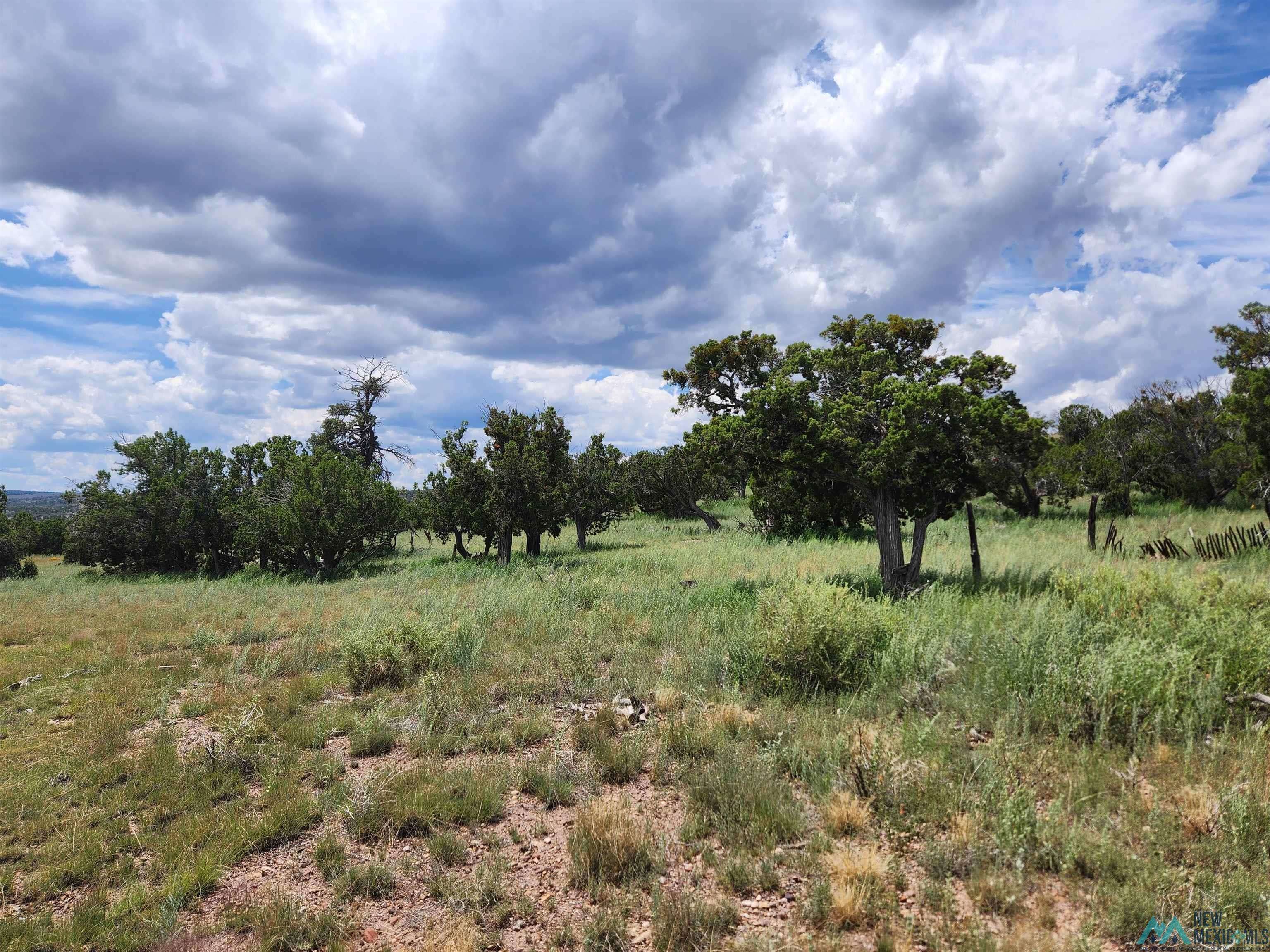 Quemado, NM 87829,Cimarron Drive #Cimarron Ranch