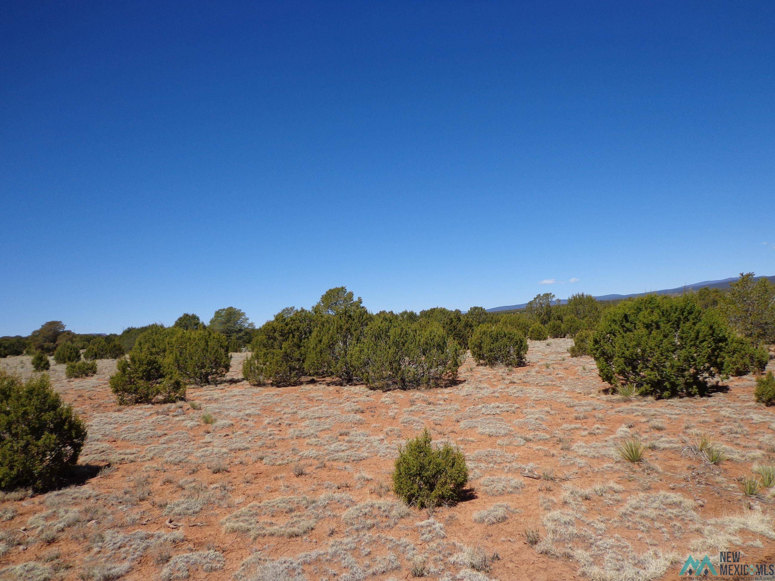 Bernal, NM 87569,Tr 1A Camino del Sol Road