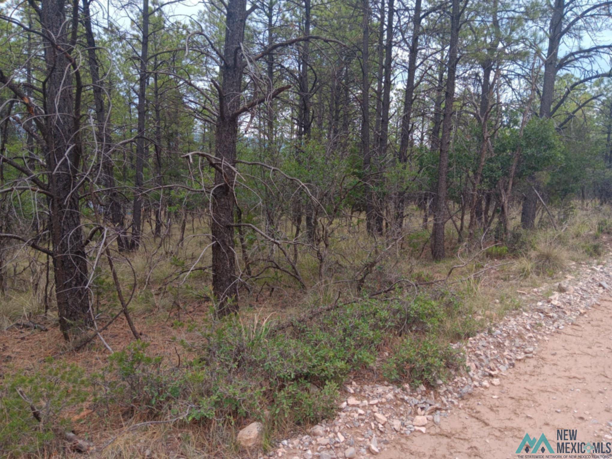 Timberon, NM 88350,Lot 7 Homewood Drive