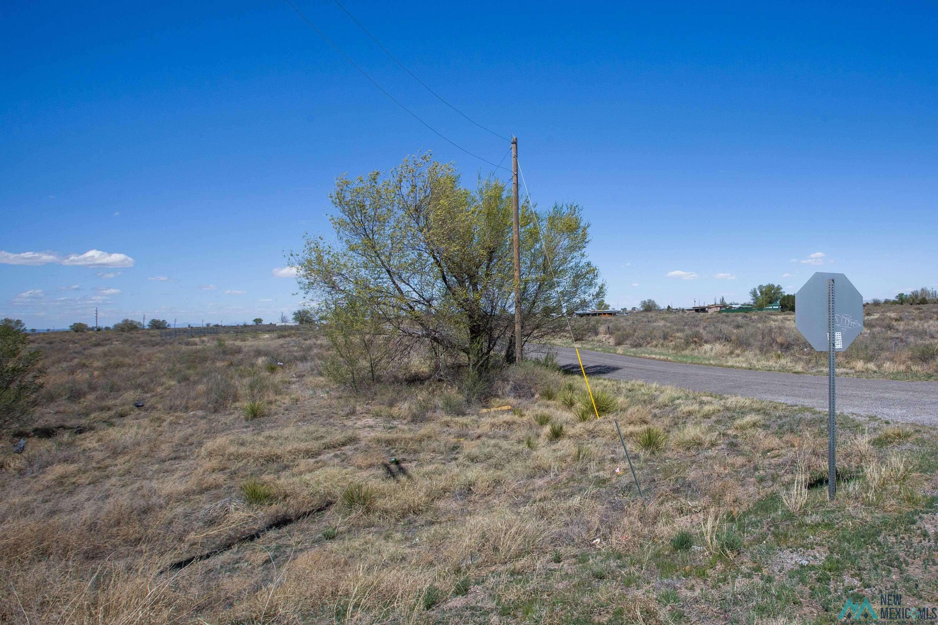 Willard, NM 87063,Lot: 1-3 Block 15