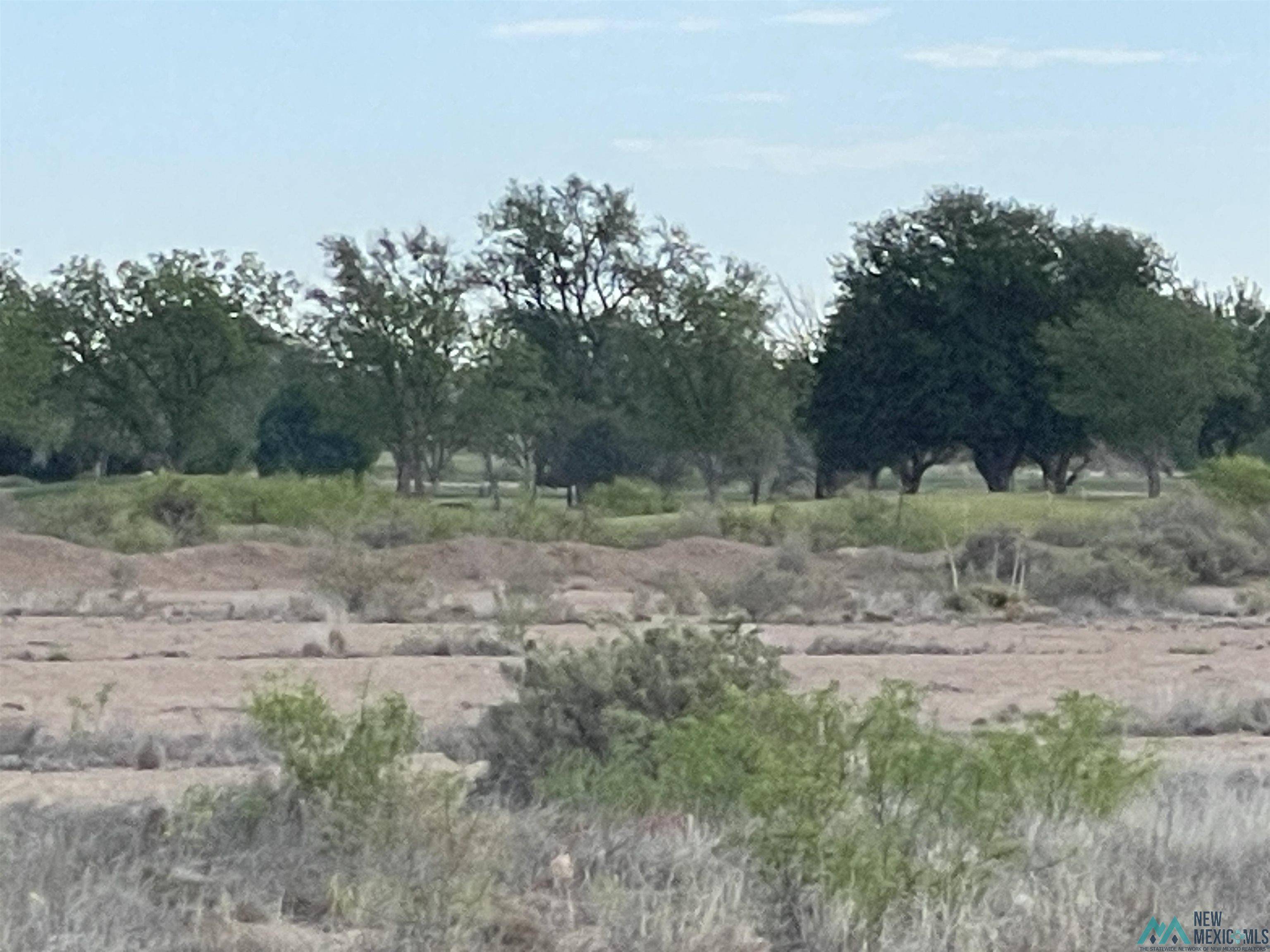 Artesia, NM 88210,West of 26th North of Main Street