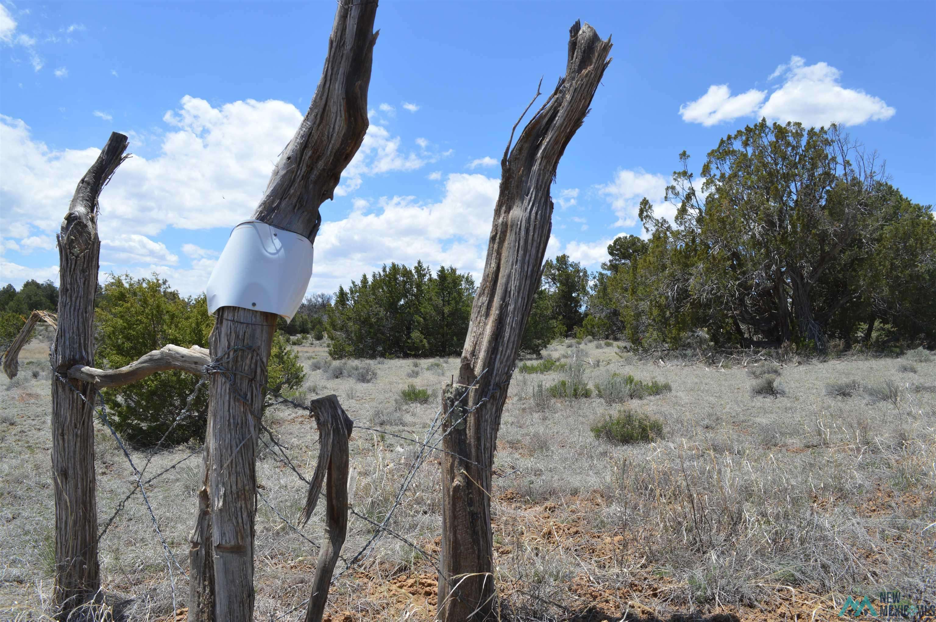 Candy Kitchen, NM 87321,Lot 94,95,96 Great White Father Road