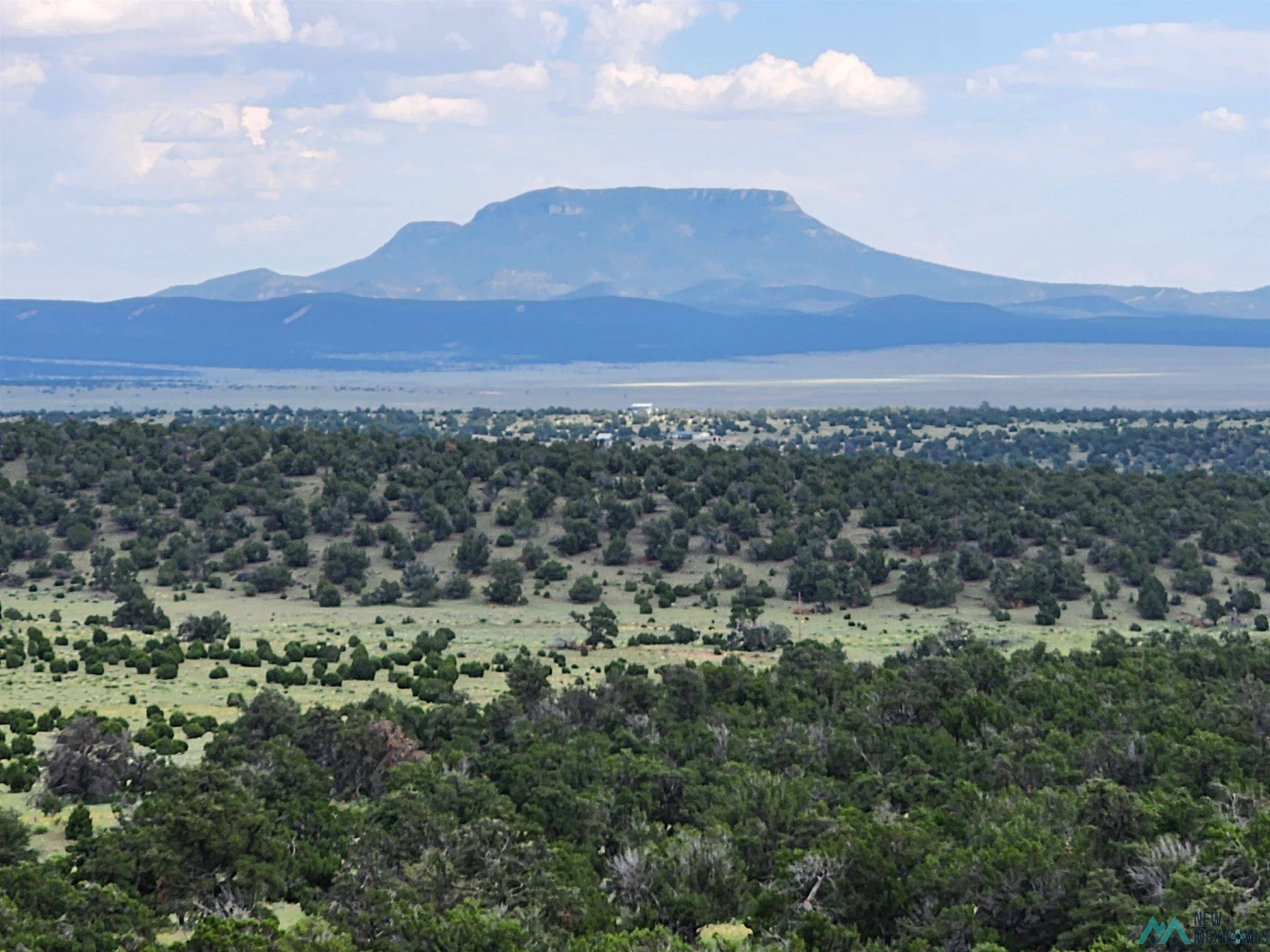 Quemado, NM 87829,162 Warpath Road