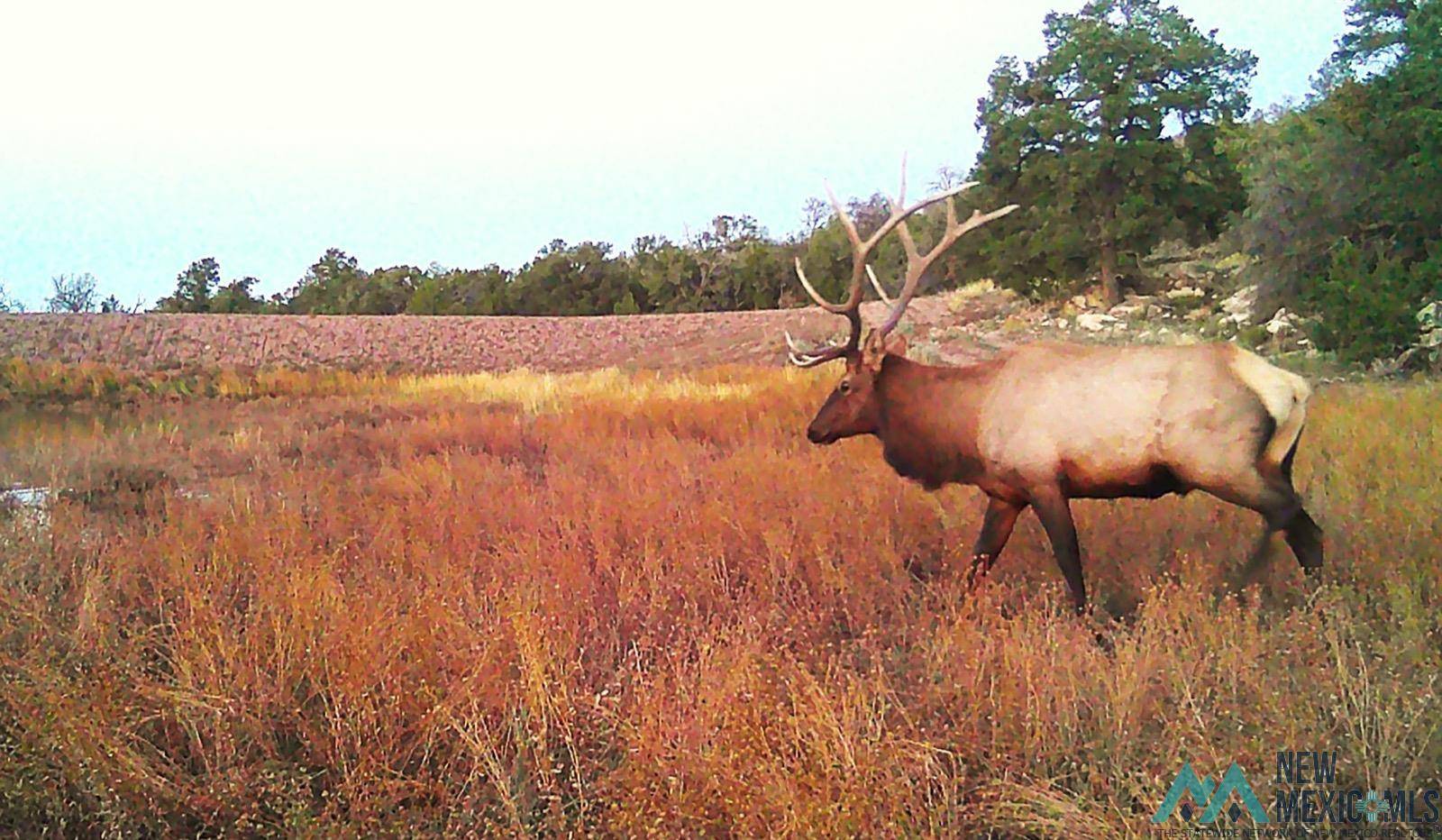 Thoreau, CO 87323,TBD Highway 612