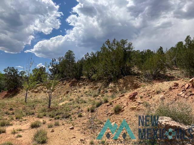 Villanueva, NM 87583,2.07 Acres NM 3 Road