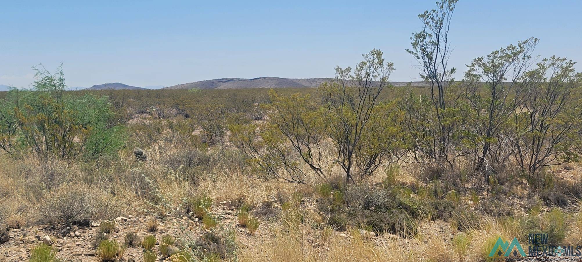 Elephant Butte, NM 87935,262 Champagne Hills Rd Road