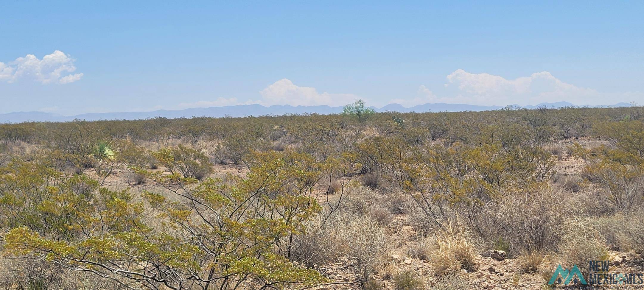 Elephant Butte, NM 87935,262 Champagne Hills Rd Road