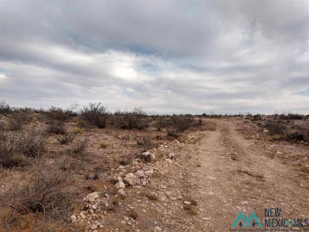 Carlsbad, NM 88220,Lot 6 Illinois Camp Road