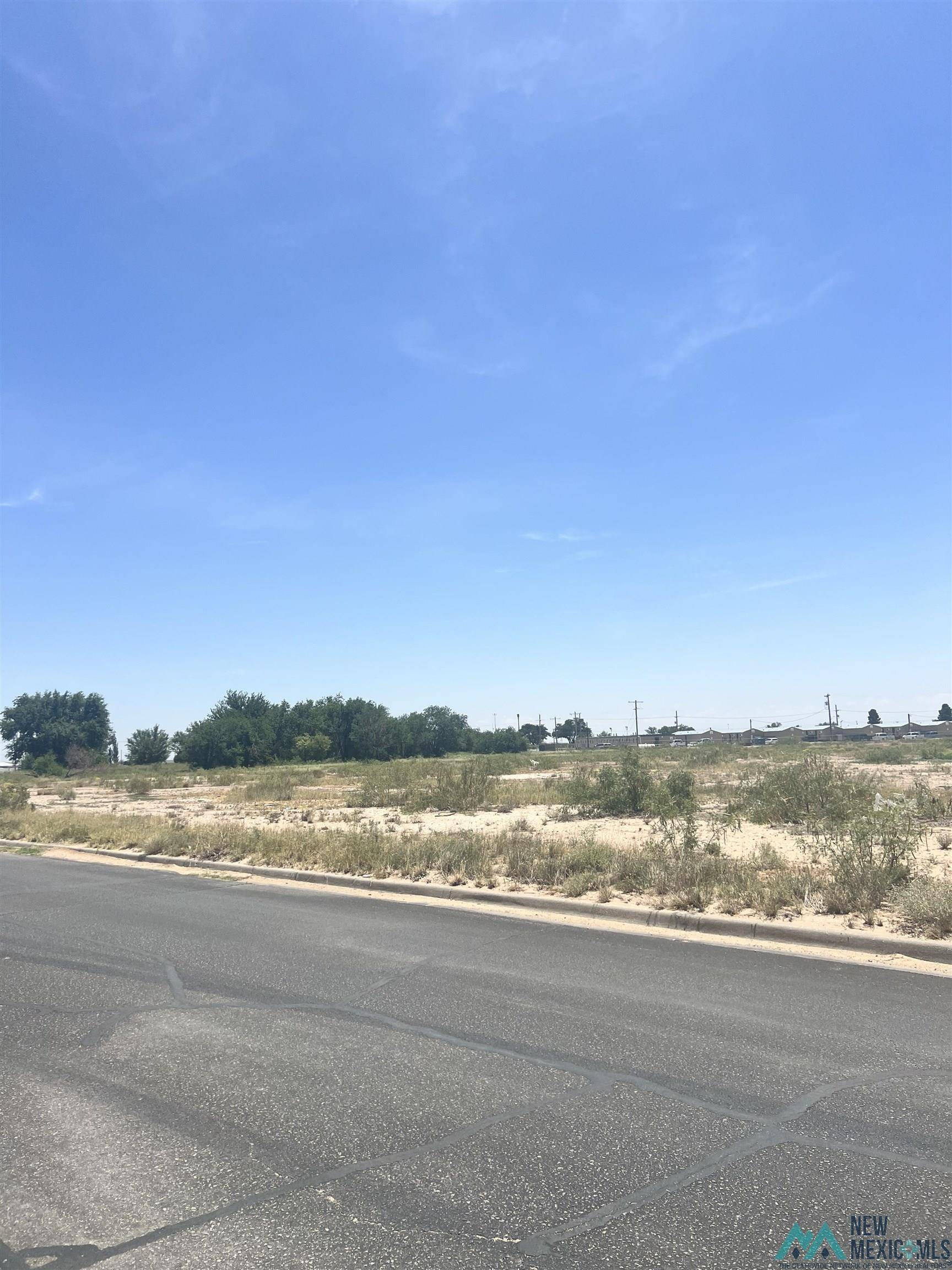 Jal, NM 88252,TBD Mesquite Street