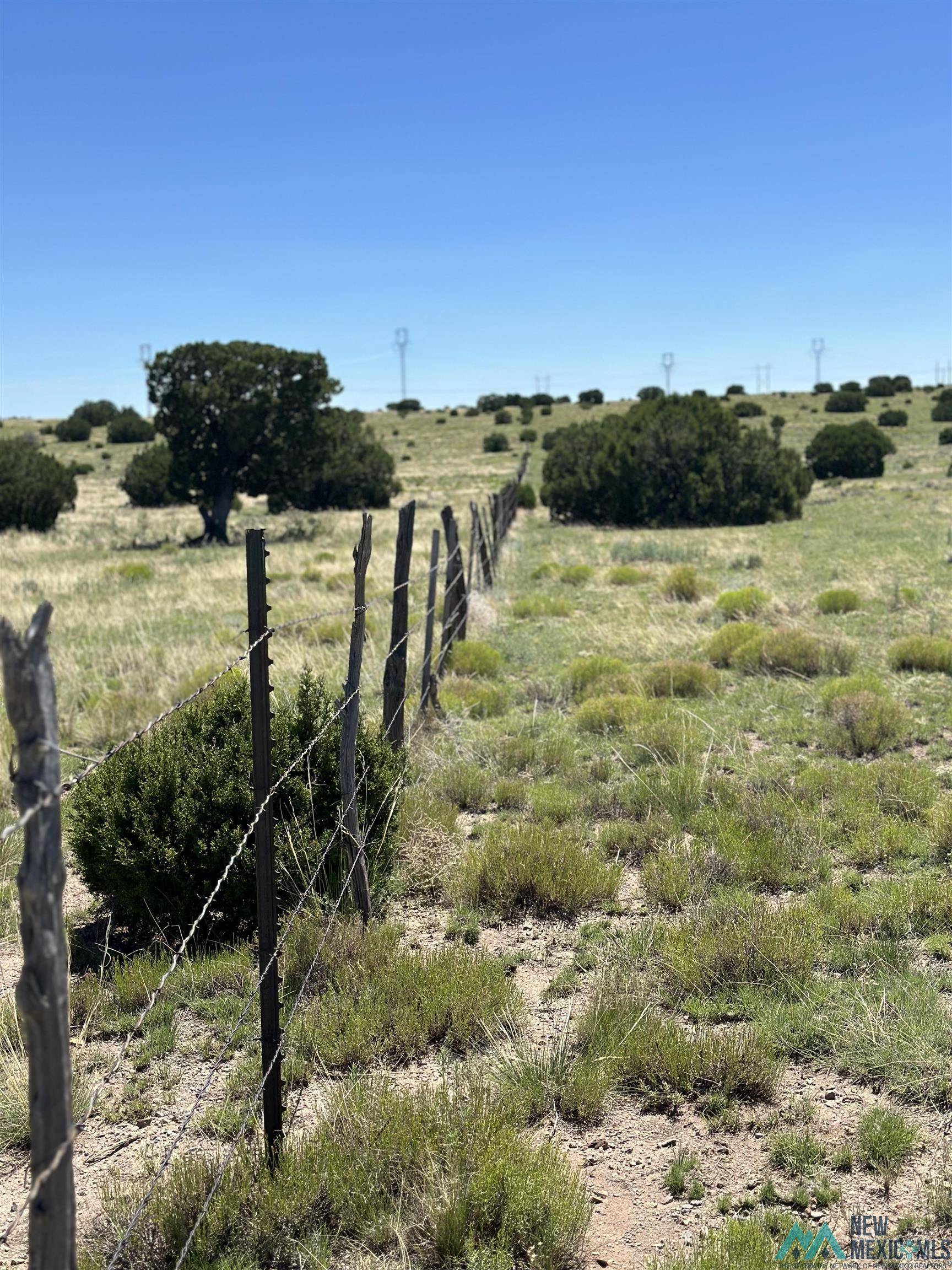 Quemado, NM 87829,92 Northern Road