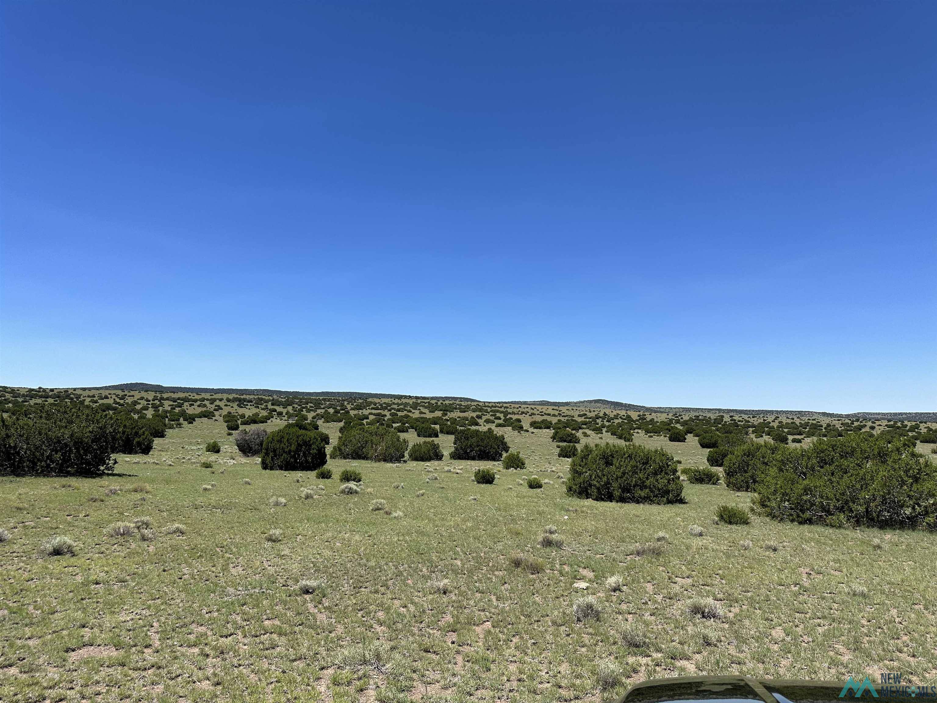 Quemado, NM 87829,92 Northern Road #Catron County 198