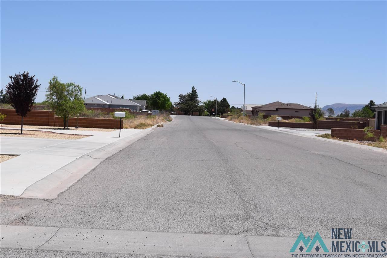 Deming, NM 88030,0000 Los Luna Drive