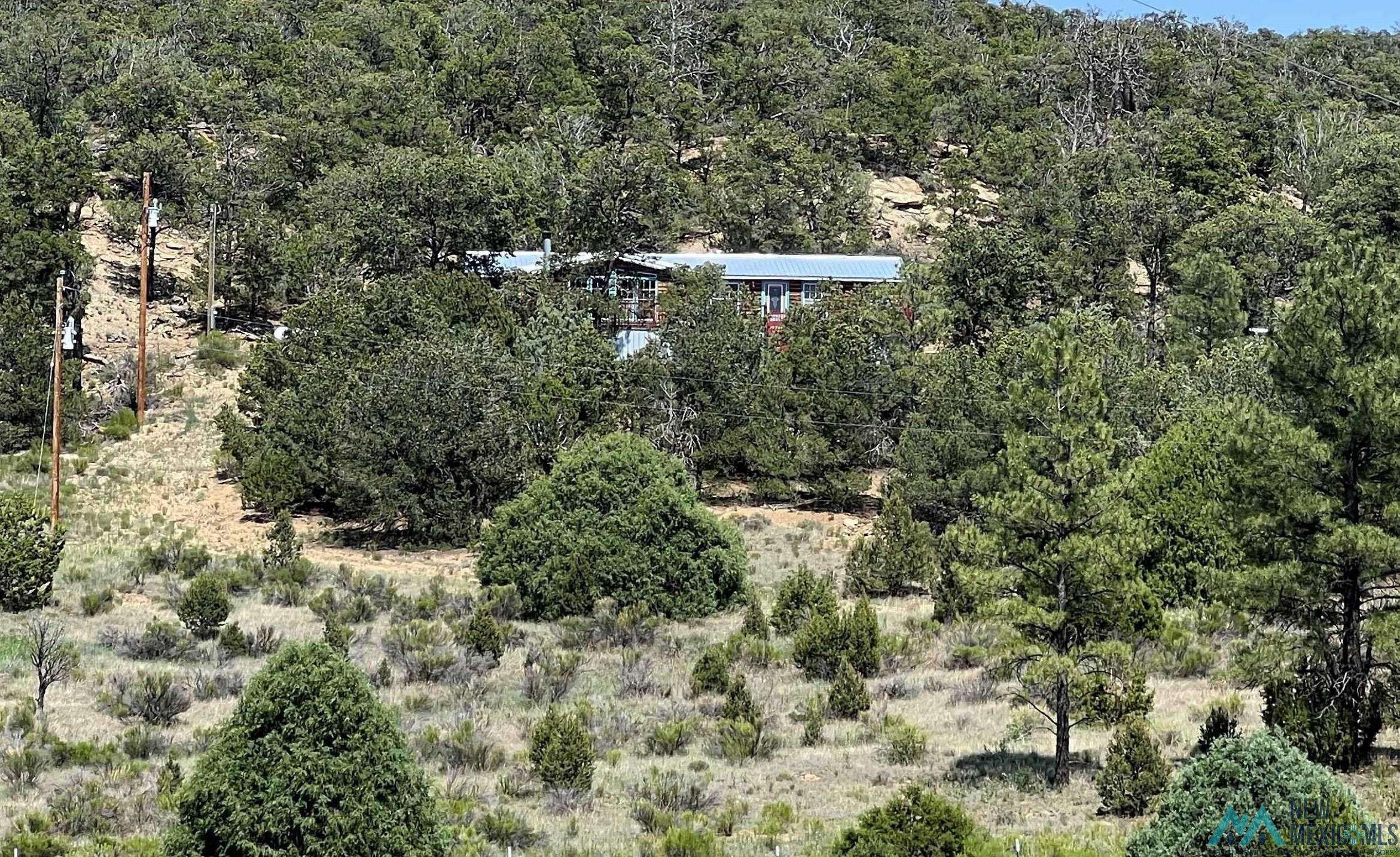 Pie Town, NM 87827,25 Round Up Road