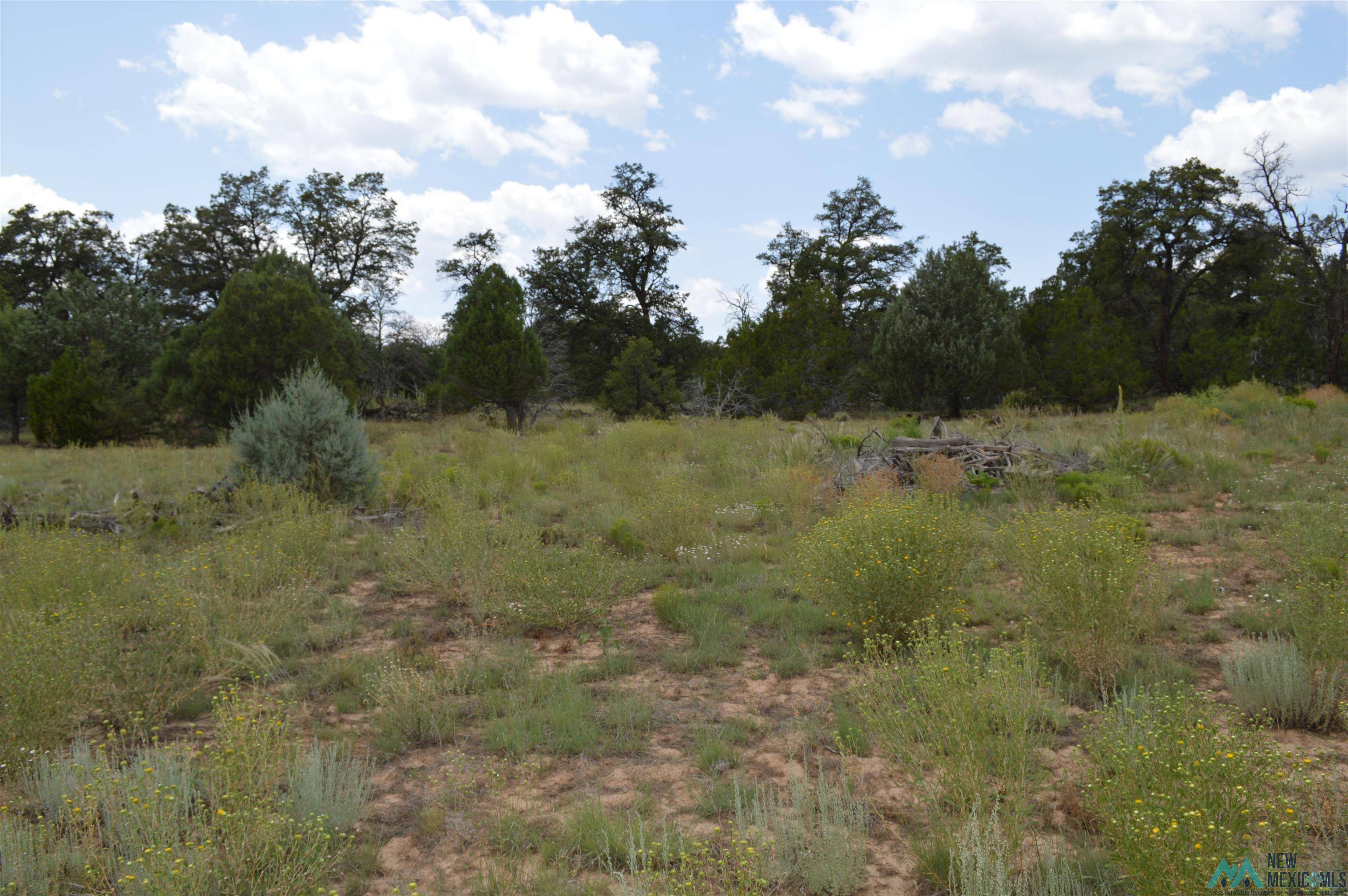 Candy Kitchen, NM 87321,Lot 21 TBD Max Lane