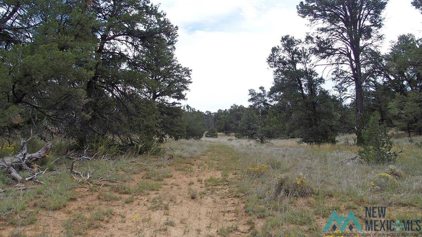 Pinehill, NM 87357,LOT 17-A GOD'S ACRE Road