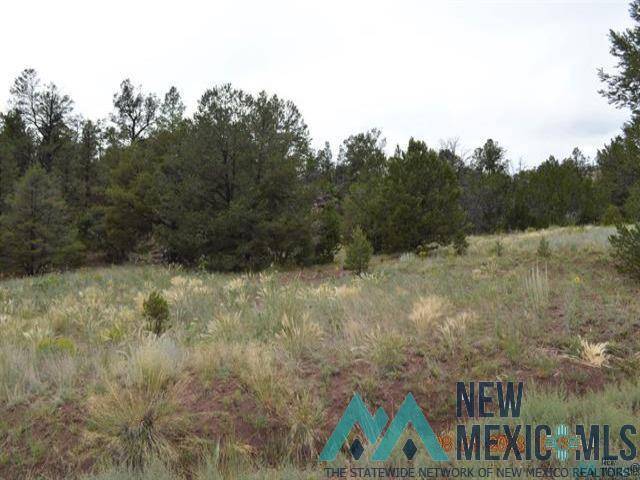 Ramah, NM 87321,157 FOREST Road