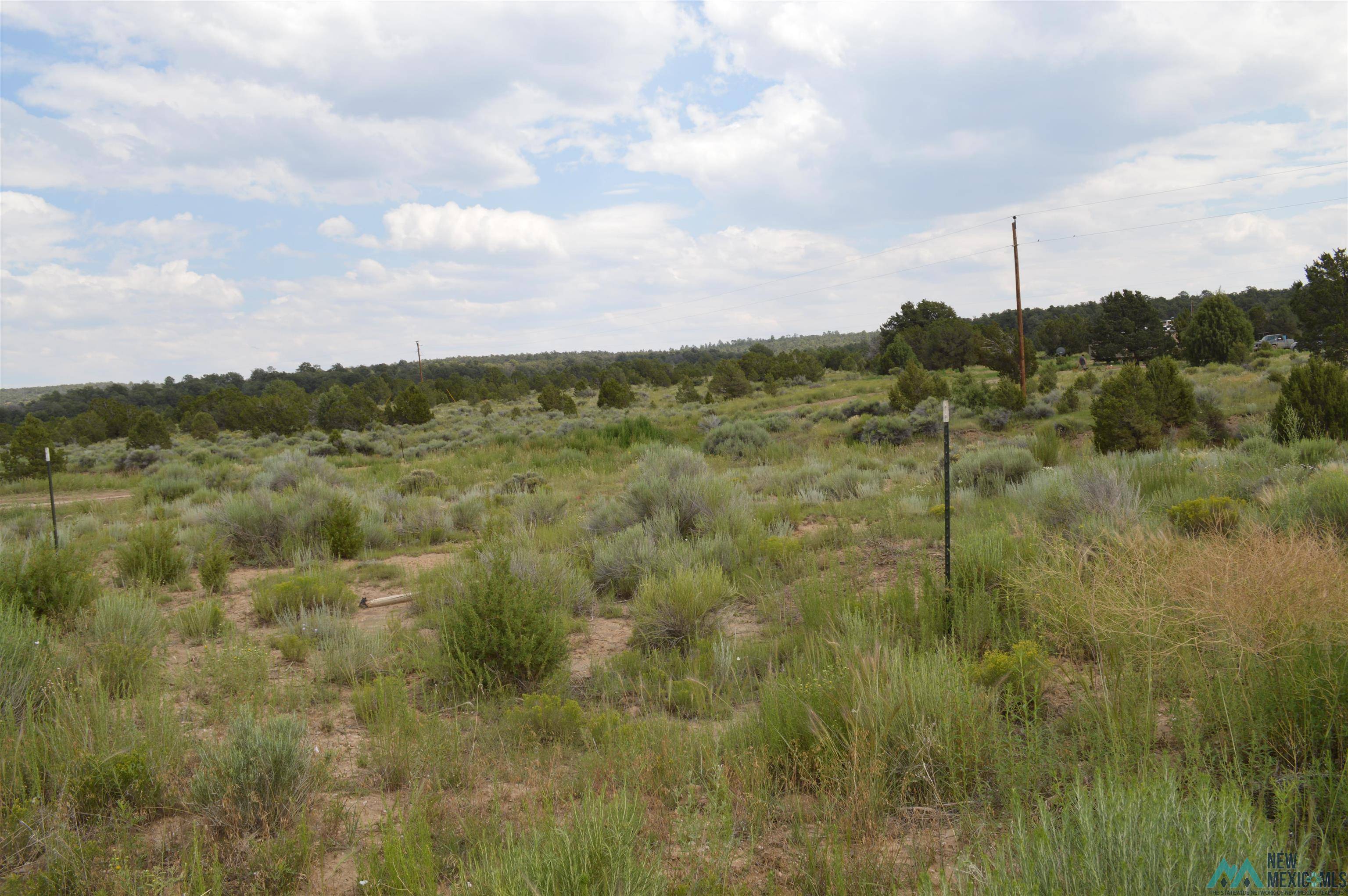 Candy Kitchen, NM 87321,TBD CANDY KITCHEN Road