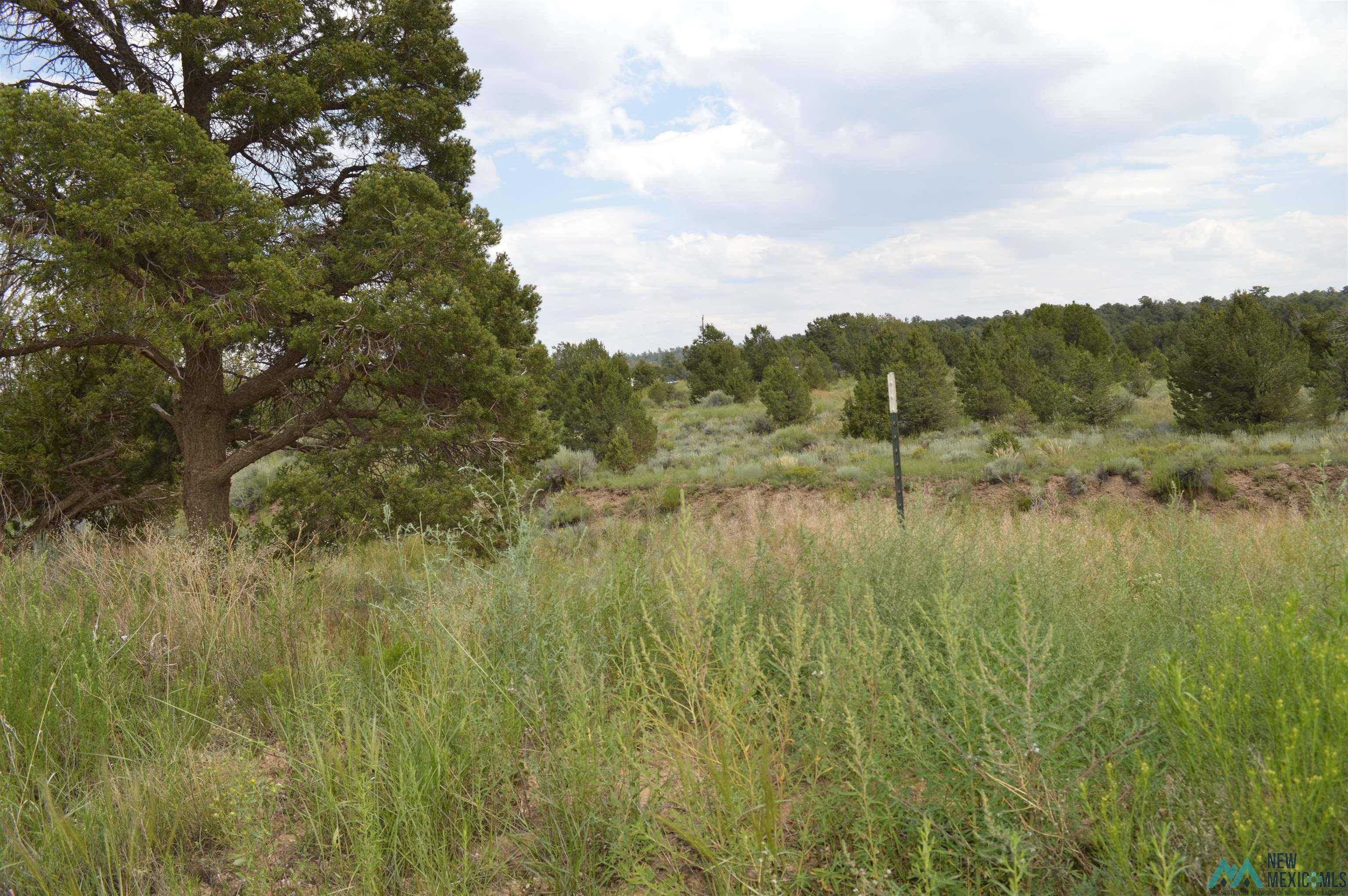 Candy Kitchen, NM 87321,TBD CANDY KITCHEN Road