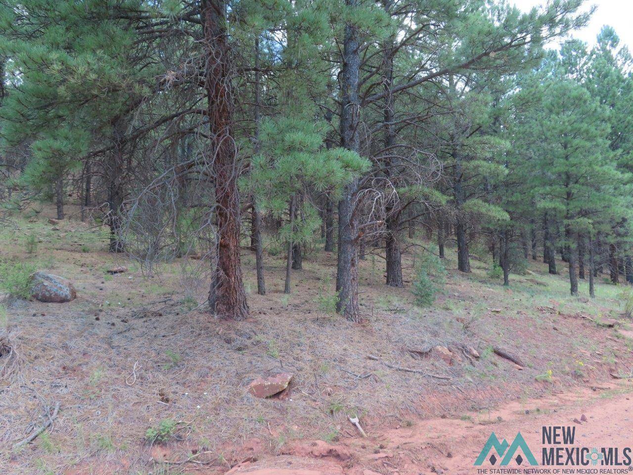 Grants, NM 87020,TBD Forest 50 Road