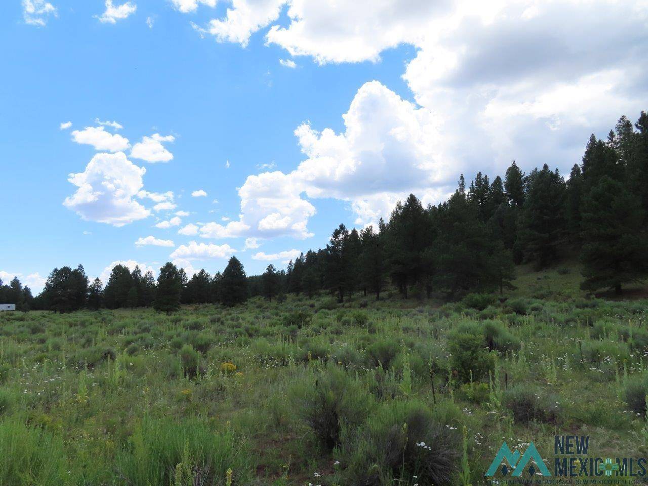 Grants, NM 87020,TBD Forest 50 Road