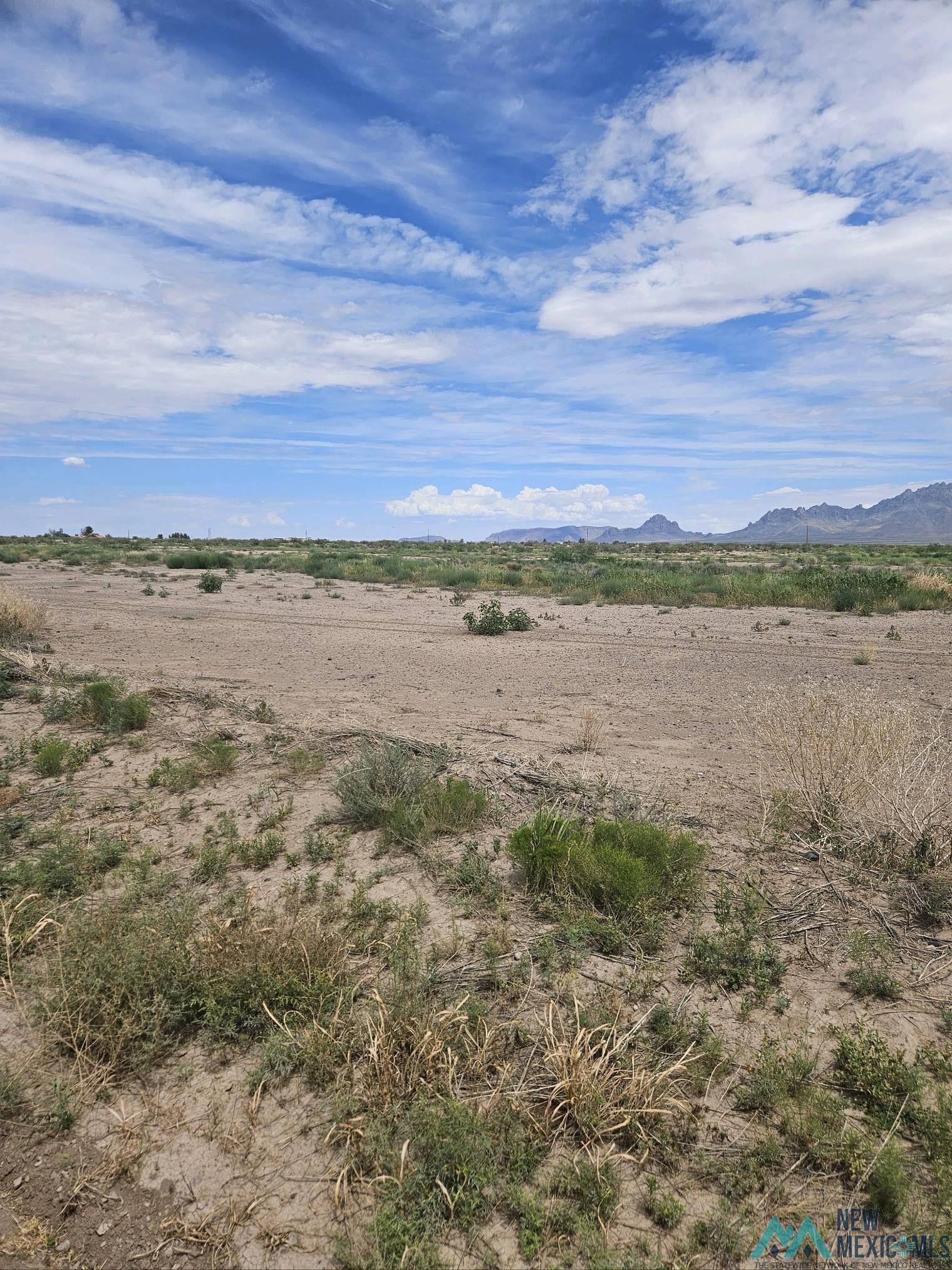 Deming, NM 88030,XXX San Fernando Rd SE