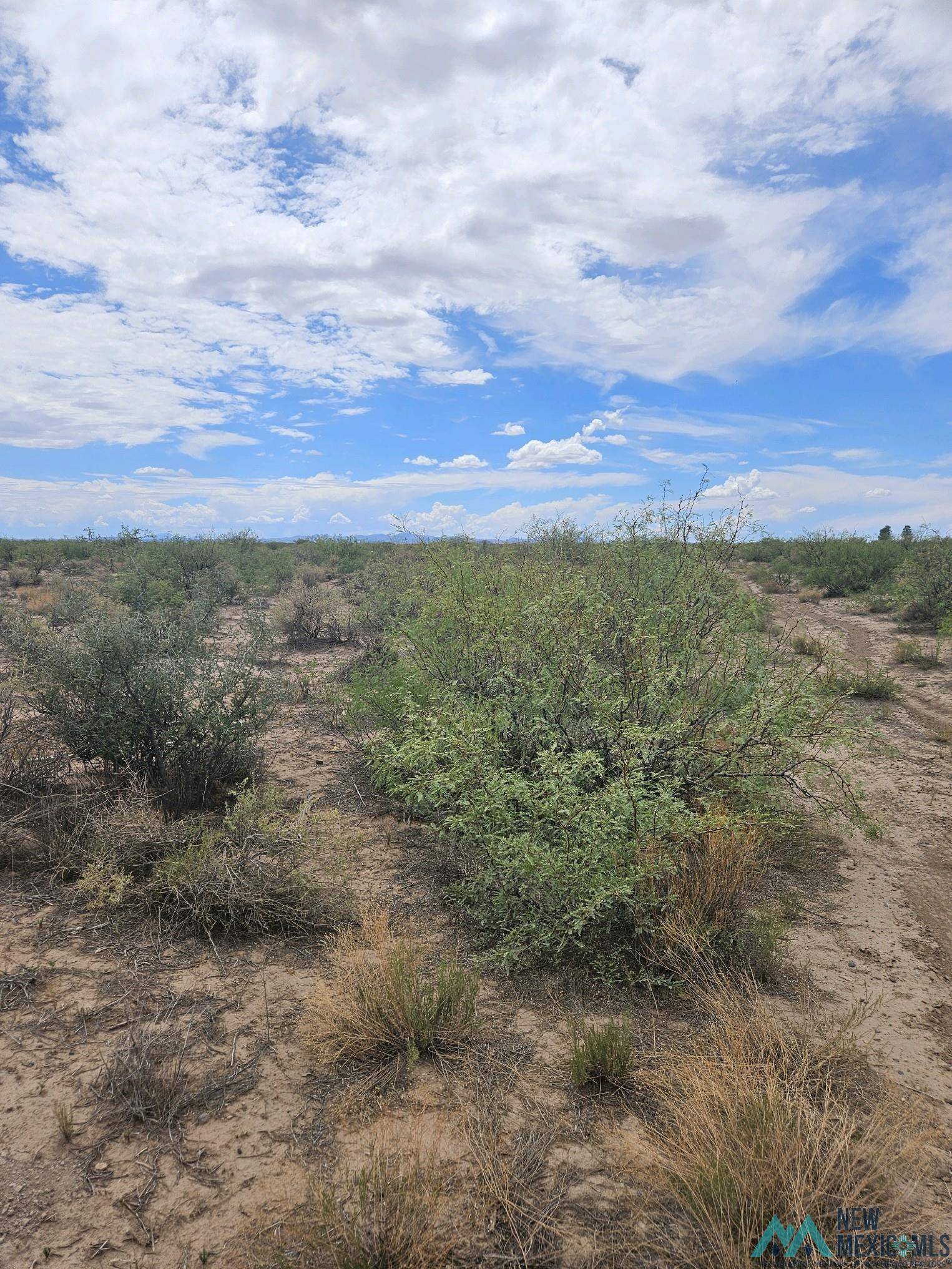 Deming, NM 88030,XXX Purple Sage Rd SW