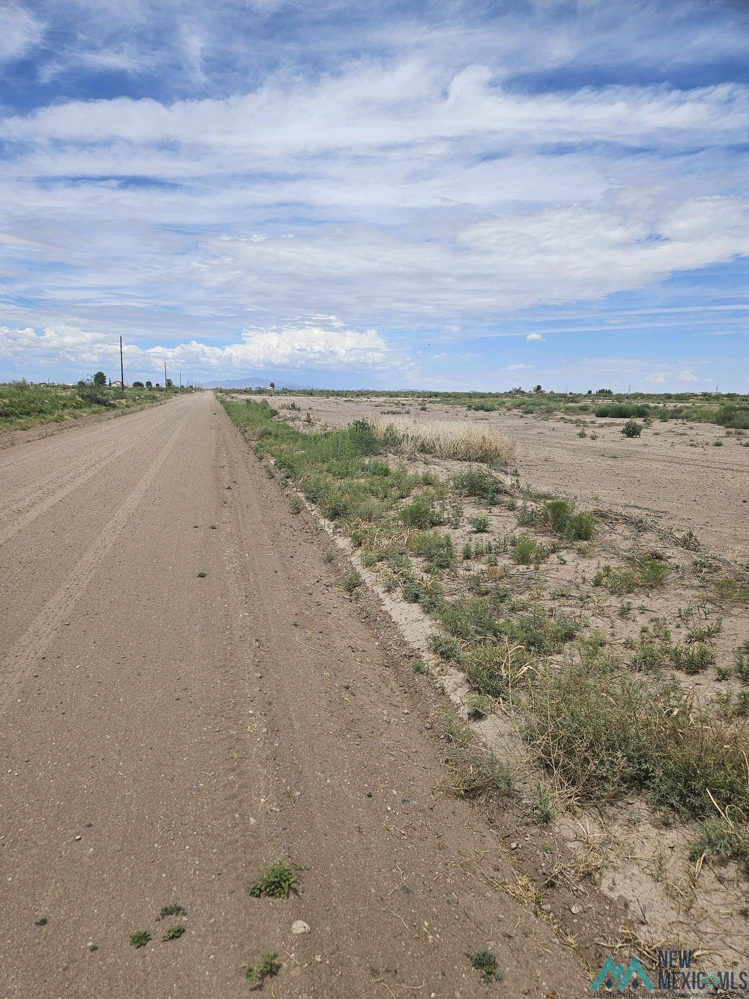Deming, NM 88030,XXX Purple Sage Rd SW